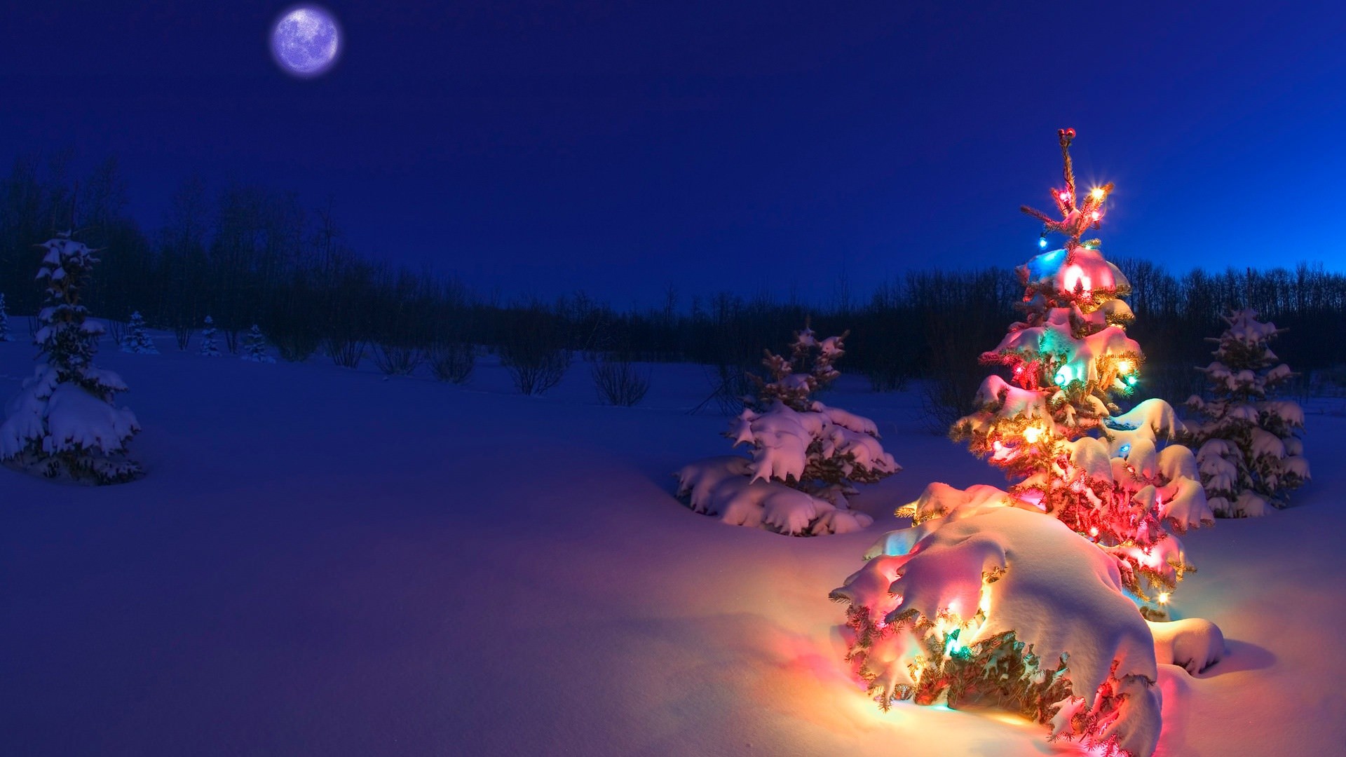 夜のクリスマスツリー