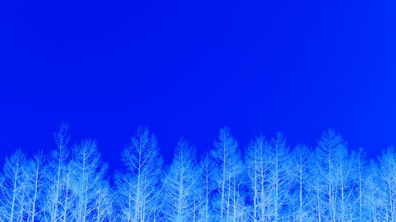 PC用森林・草原の壁紙(1366×768)#26