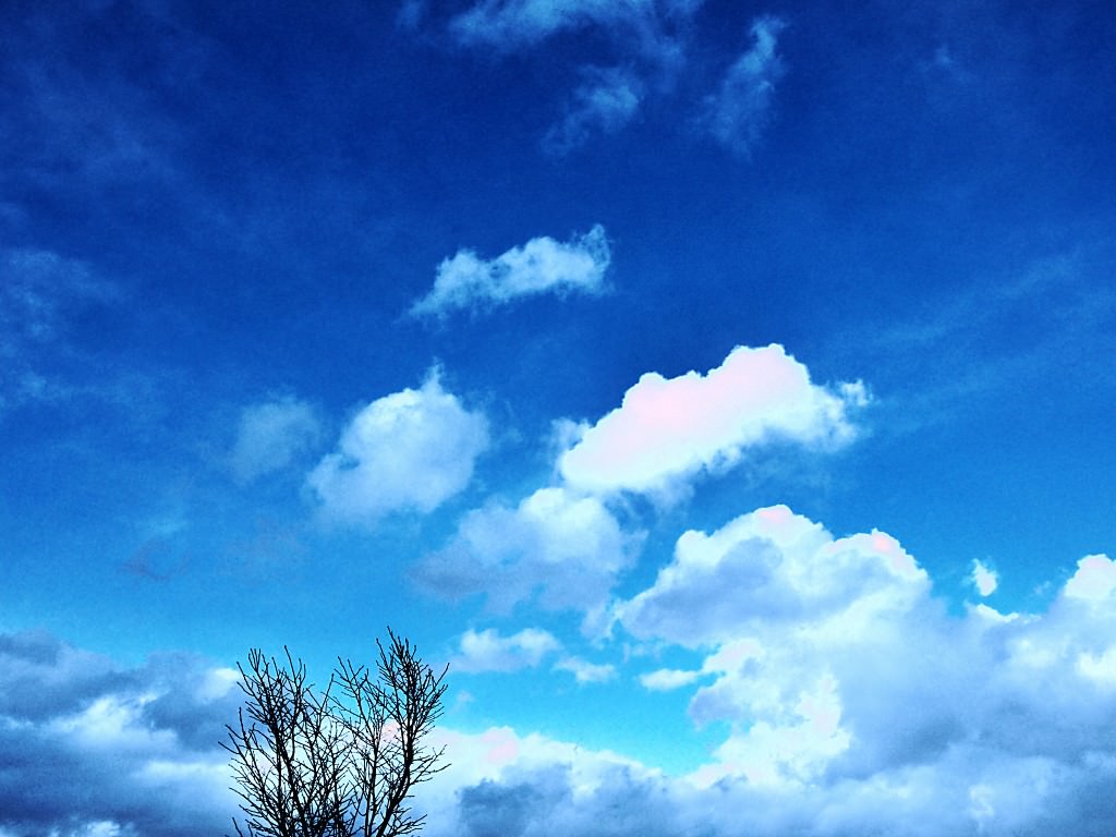 PC用空・雲の壁紙(1024×768)#67