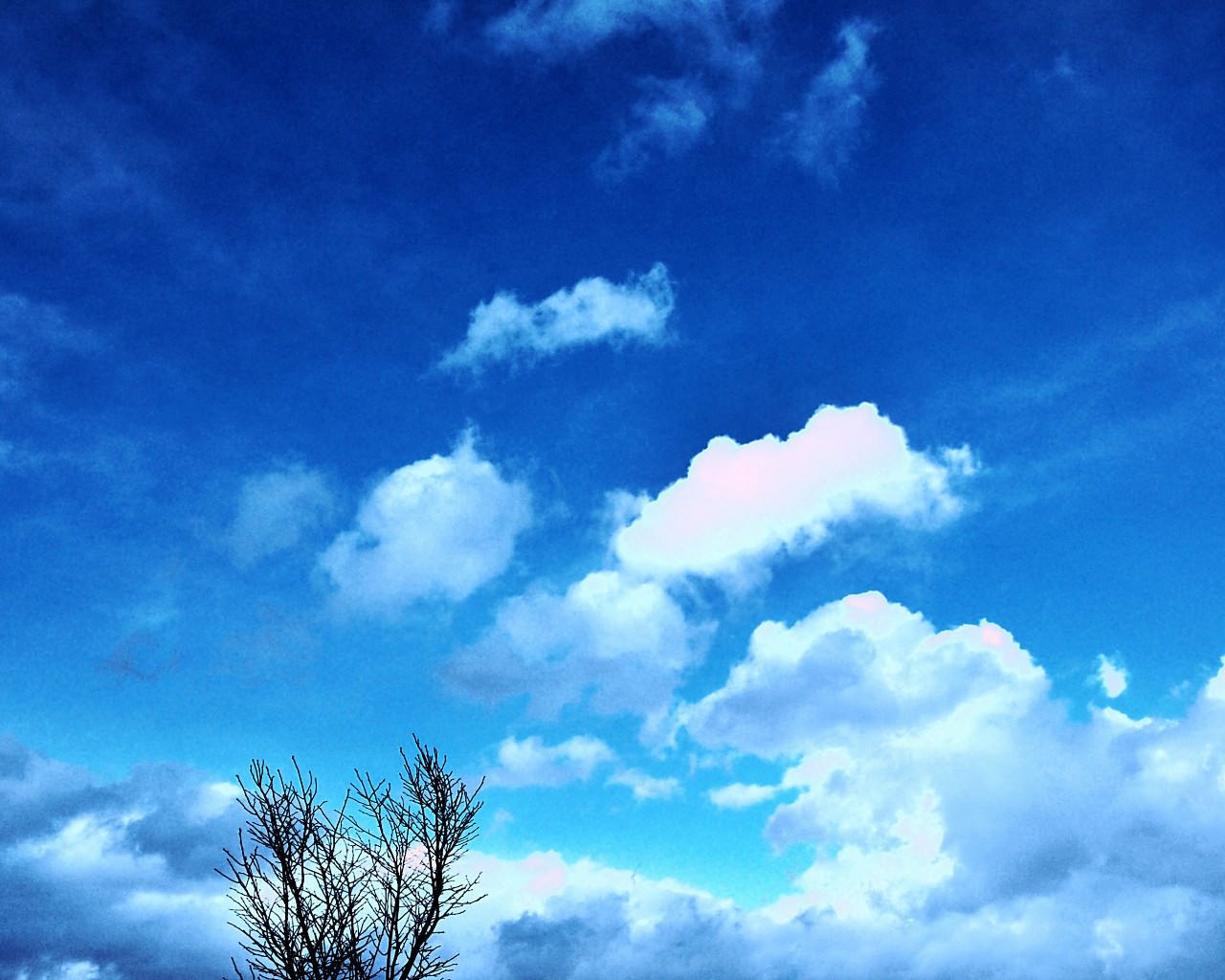 PC用空・雲の壁紙(1280×1024)#52