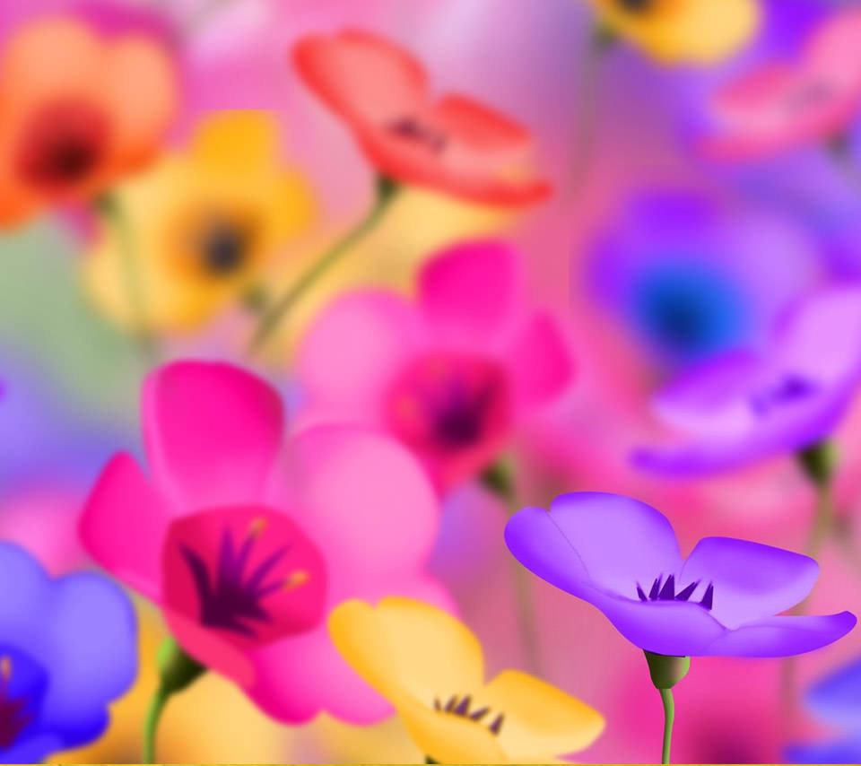 カラフルで綺麗な花のスマホ用壁紙 Android用 960 854 Wallpaperbox