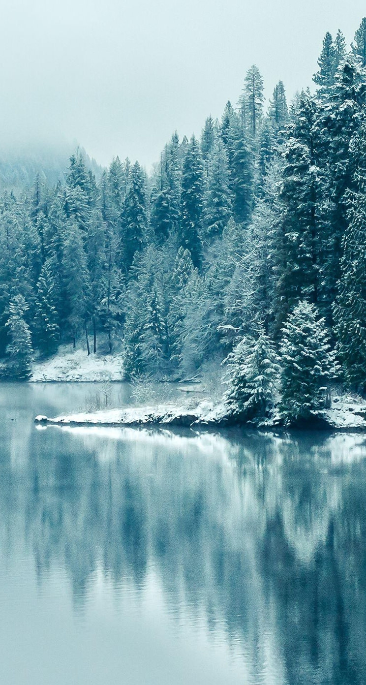 凍てついた森と湖 Iphone5壁紙 Wallpaperbox