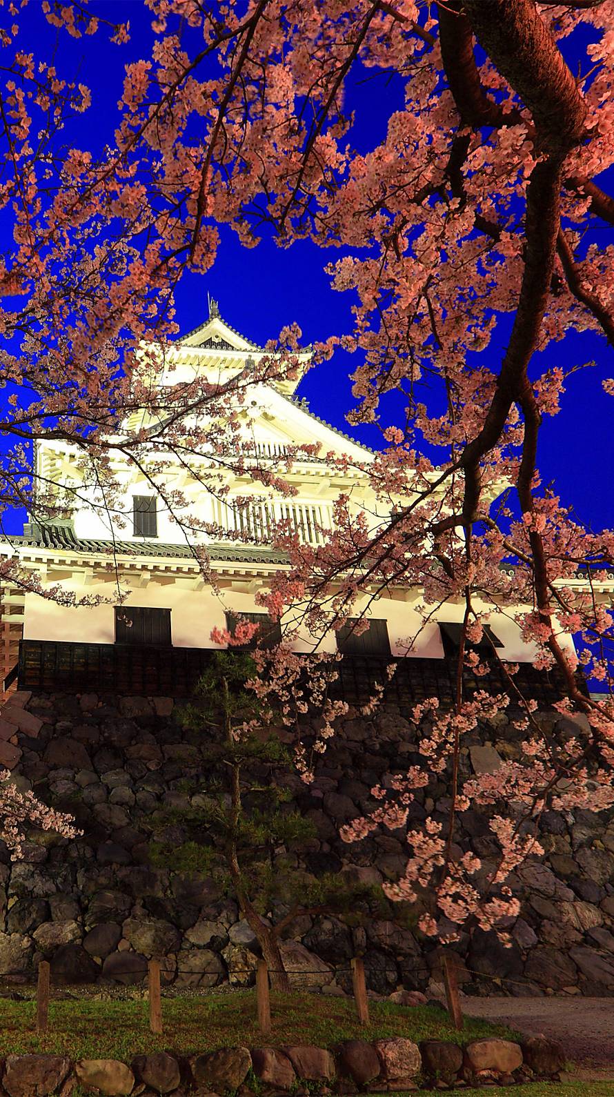 夜桜と天守閣 Iphone6壁紙 Wallpaperbox