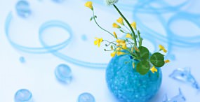 花の壁紙#24サムネイル