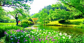 花の壁紙#25サムネイル