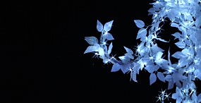 イルミネーションの壁紙#20サムネイル