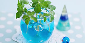 植物・葉の壁紙#20サムネイル