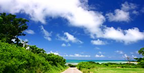海の壁紙#50サムネイル