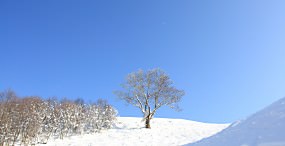 空・雲の壁紙#101サムネイル