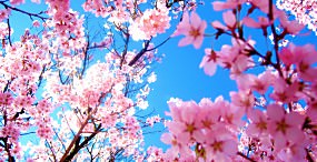 空・雲の壁紙#110サムネイル