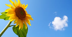 空・雲の壁紙#112サムネイル