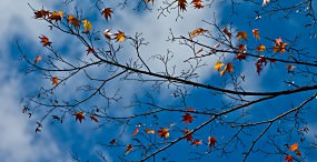 空・雲の壁紙#119サムネイル