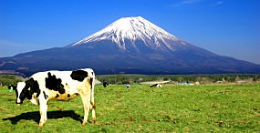 空・雲の壁紙#125サムネイル