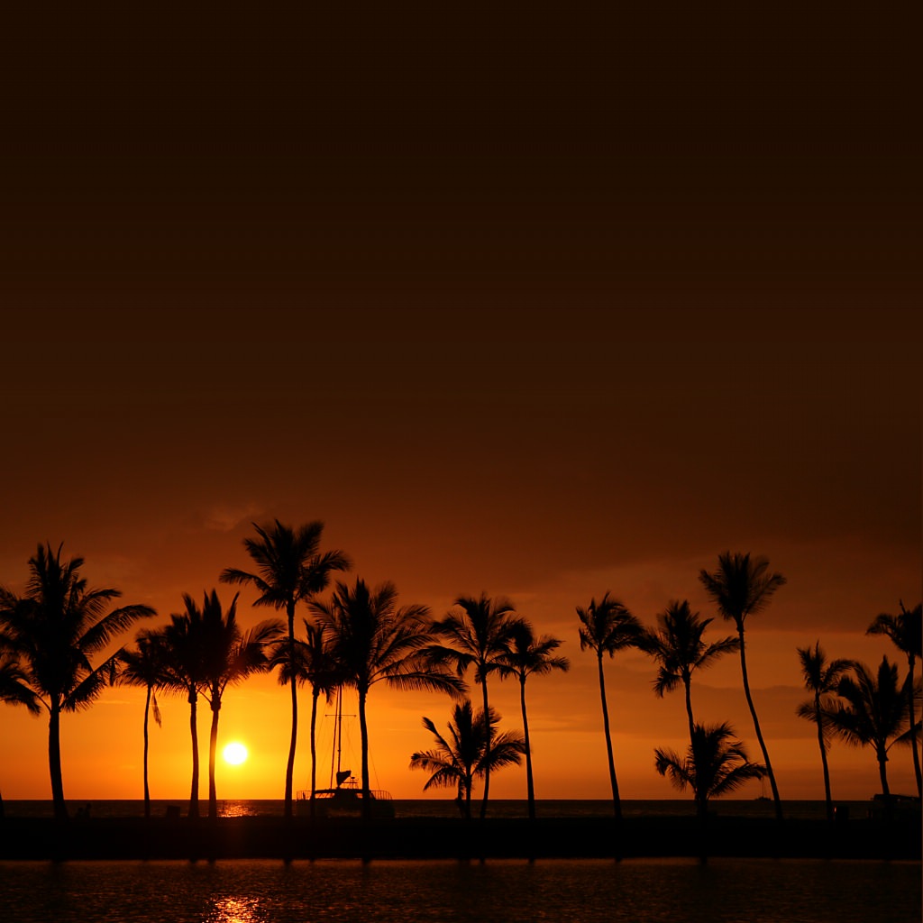 美しいハワイの壁紙(iPad用/1024×1024)