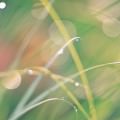 glass_pspvita