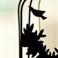 kagonotori
