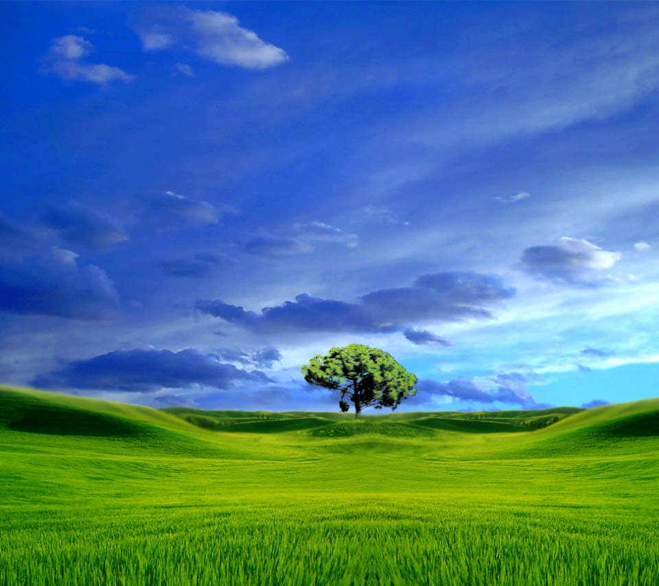 水彩画調の緑の大地のスマホ用壁紙(Android用/960×854)