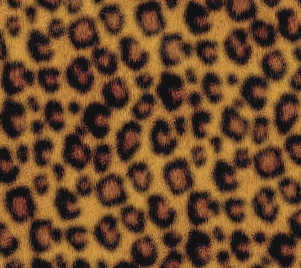 豹柄のスマホ用壁紙2(Android用/960×854)