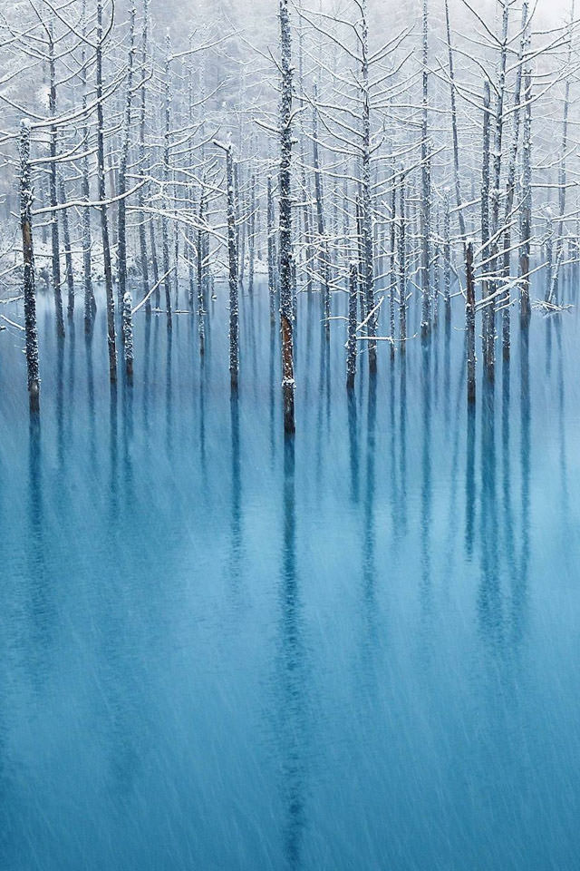 青の湖のスマホ用壁紙(iPhone用/640×960)