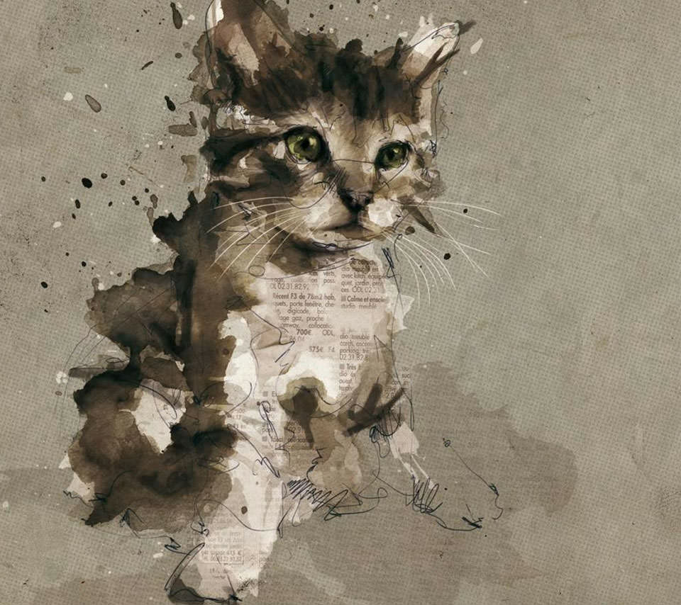 かわいい猫のスマホ用壁紙(Android用/960×854)