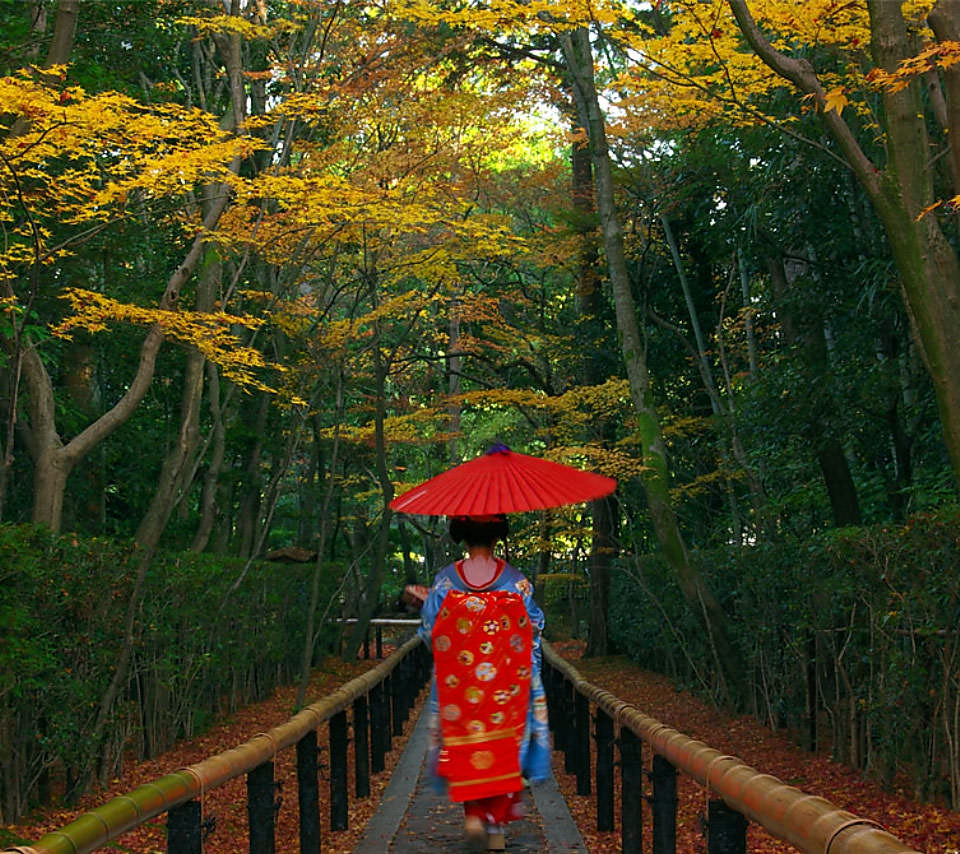 京都の舞妓さん スマホ用壁紙(Android/960×854)
