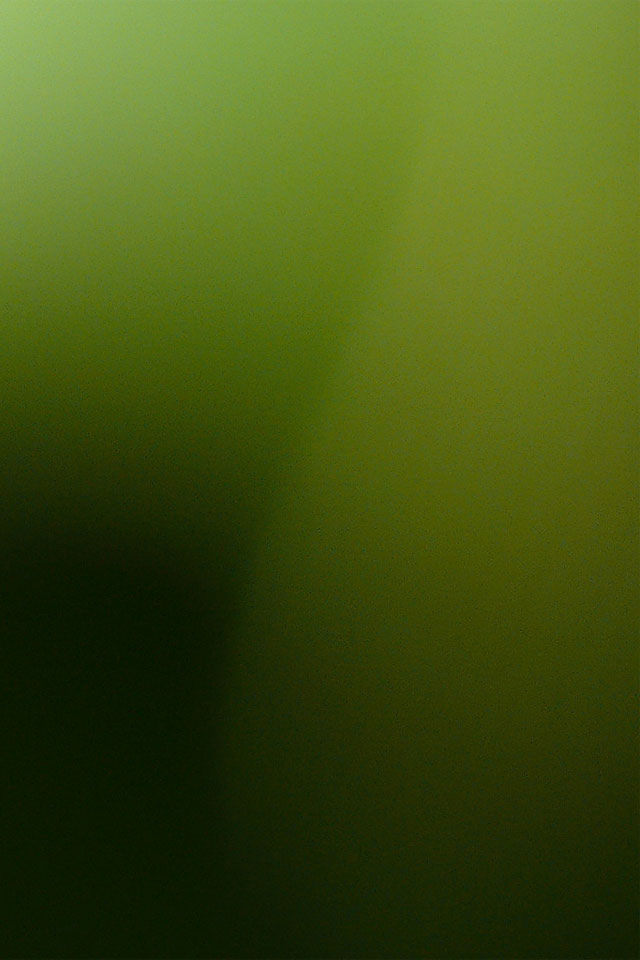 深緑のスマホ用壁紙(iPhone用/640×960)