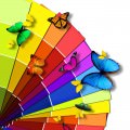 カラフルな蝶 iPhoneスマホ用壁紙