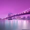 紫の橋 iPhone5 スマホ用壁紙