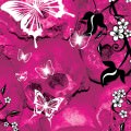 ピンクの蝶 iPhone5 スマホ用壁紙