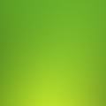 綺麗なグリーン iPhone5 スマホ用壁紙
