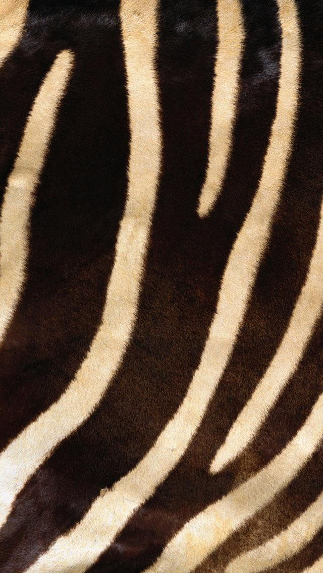 シマウマの毛皮 iPhone5 スマホ用壁紙