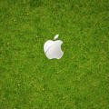 芝生上のAppleロゴ iPhone5 スマホ用壁紙