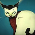 猫の視線 Androidスマホ用壁紙
