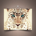 ジャガーの肖像 iPhone5 スマホ用壁紙