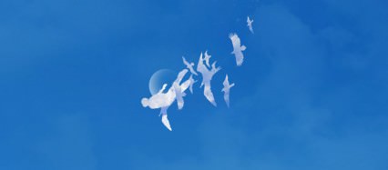 Fly High Androidスマホ壁紙
