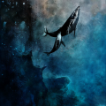 鯨の親子 iPhone5 スマホ用壁紙
