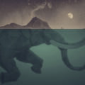 Swim Elephant Androidスマホ壁紙