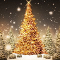 キラキラのクリスマスツリー Androidスマホ壁紙