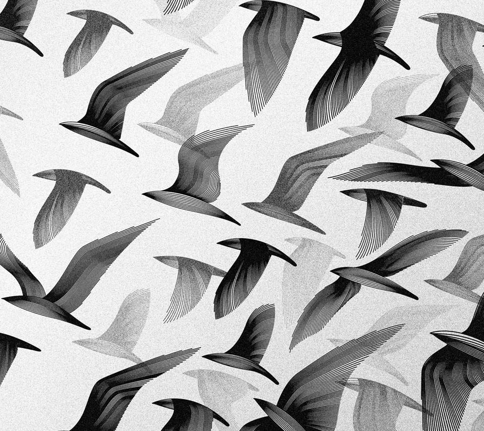 鳥の群れ スマホ壁紙