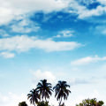 Blue Island iPhone5 スマホ用壁紙