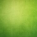 濃いグリーン iPhone5 スマホ用壁紙