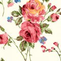 薔薇の水彩画 iPhone壁紙