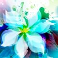 綺麗な花のイラスト iPhone5 スマホ壁紙