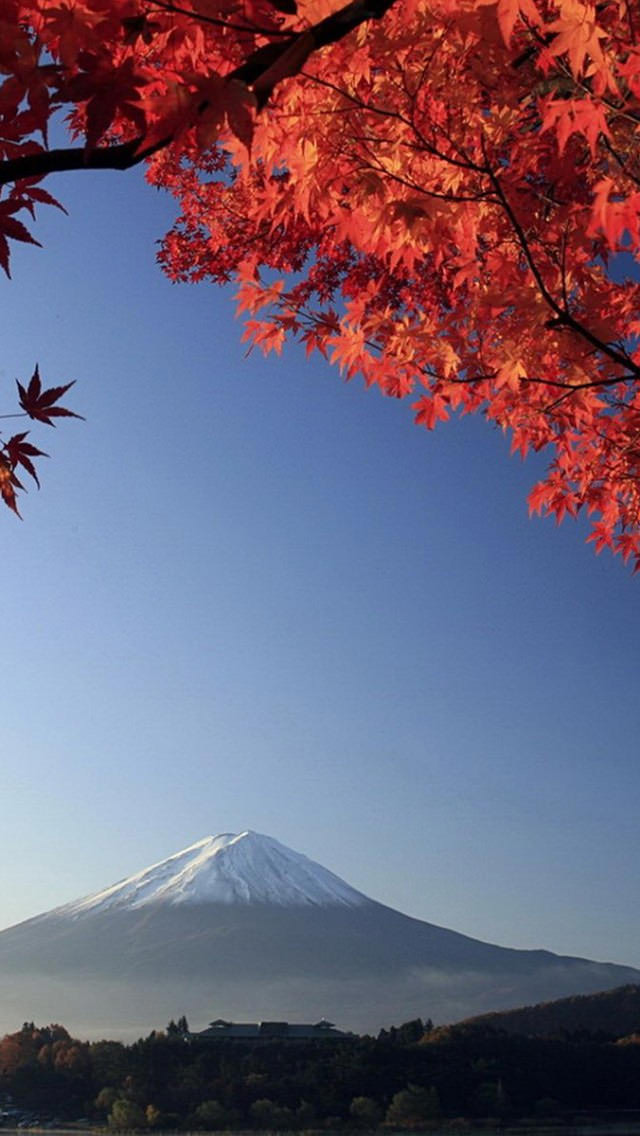 富士山と紅葉 iPhone5壁紙