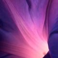 アサガオの花びら iPhone6 壁紙