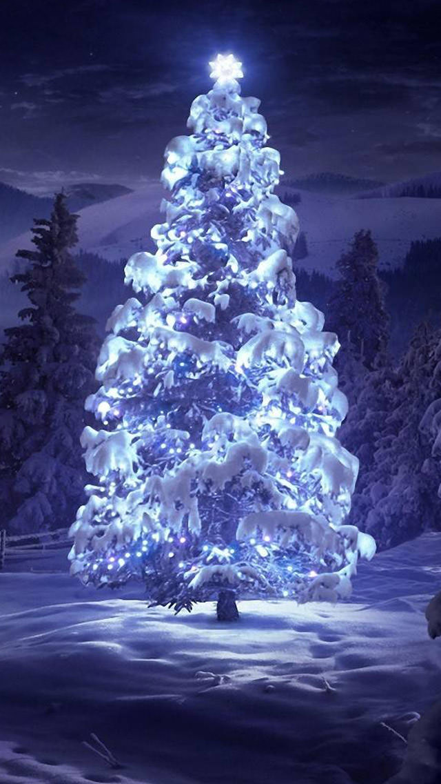 ライトアップされたクリスマスツリー iPhone5壁紙