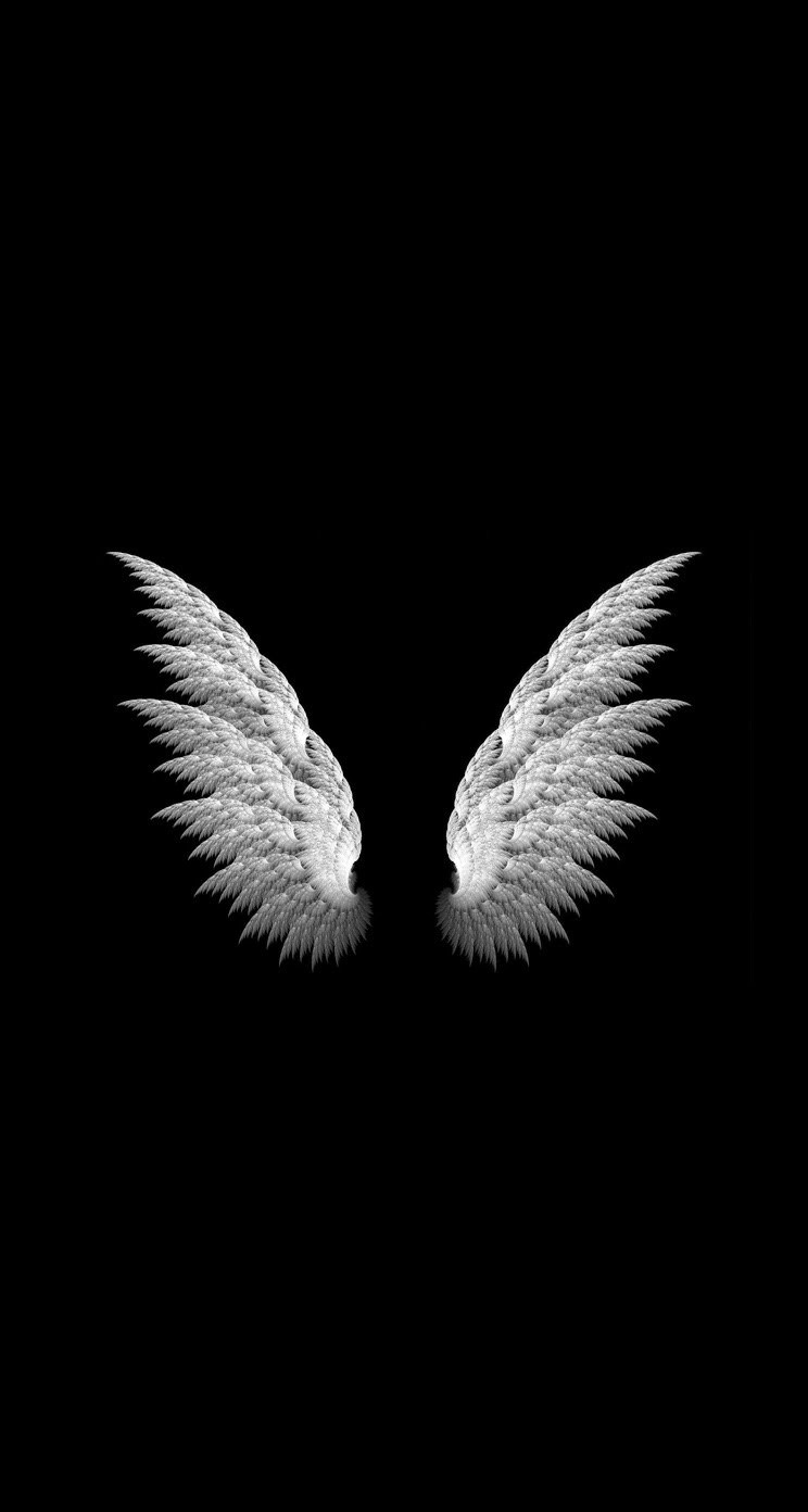 天使の羽 iPhone6壁紙