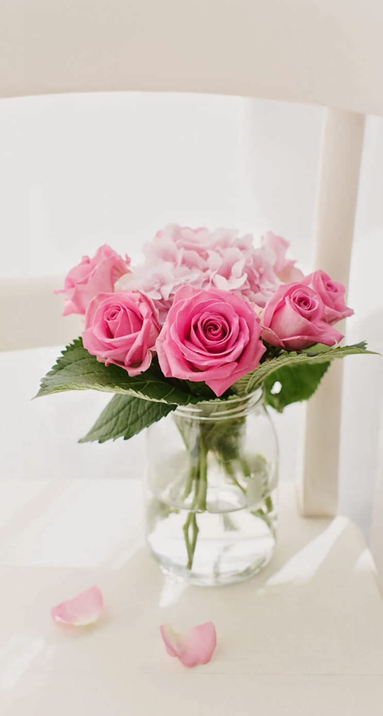 花瓶に入ったピンクの薔薇 iPhone5壁紙