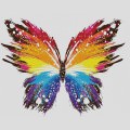 カラフルな蝶 iPhone6 壁紙