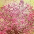 桜と鳥のイラスト iPhone6壁紙